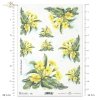 prymulka, prymulki, kwiat, ogród, łąka, wiosna, autorka grafiki Maria Kopeć, R905, primulas, flower, garden, meadow, spring, Primeln, Blume, Garten, Wiese, Frühling, prímulas, flor, jardín, prado, primavera